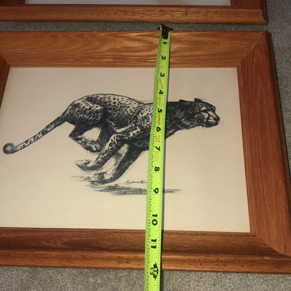 Vintage Art Etchings Drawing Cheetah Framed D.‎  Schwartz